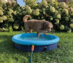Nobby Hundepool Splash Pool 2 in 1