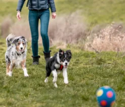 Nobby Hundespielzeug Latex-Fußball farblich sortiert, ca. Ø12 cm