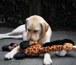 Nobby Hundespielzeug Plüschgiraffe elastisch, ca. B18/H72/T13 cm
