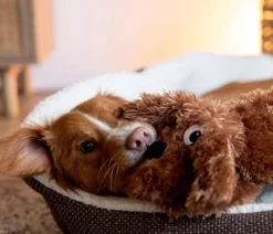 Nobby Hundespielzeug Plüschhund Schlapi