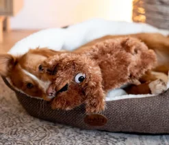 Nobby Hundespielzeug Plüschhund Schlapi
