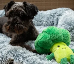Nobby Hundespielzeug Plüschtier Broccoli, ca. B28/H25/T10 cm