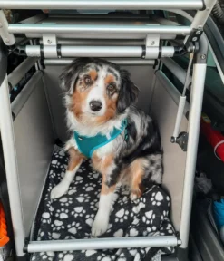 Nobby Hundetransportbox Round Corner
