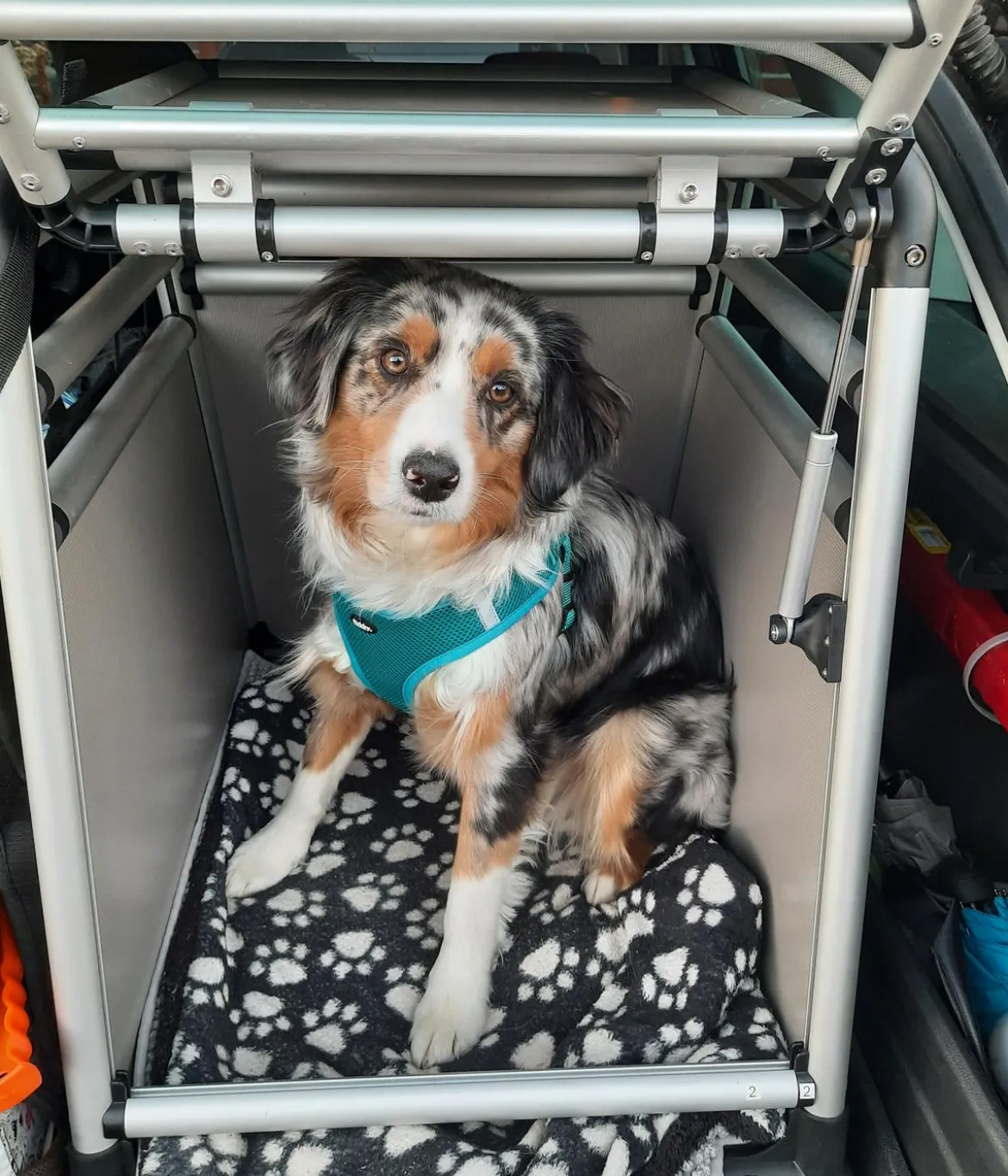 Nobby Hundetransportbox Round Corner