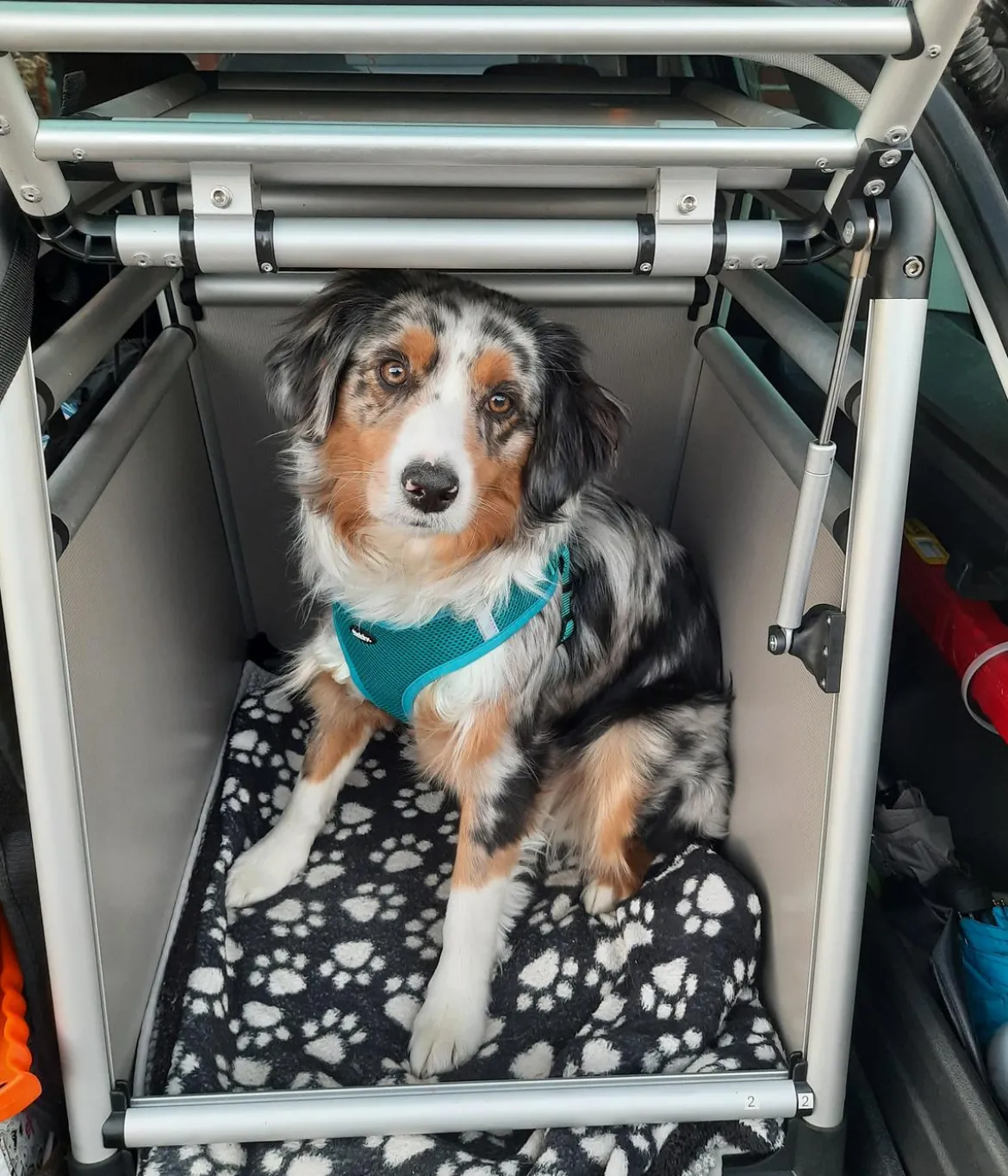 Nobby Hundetransportbox Round Corner