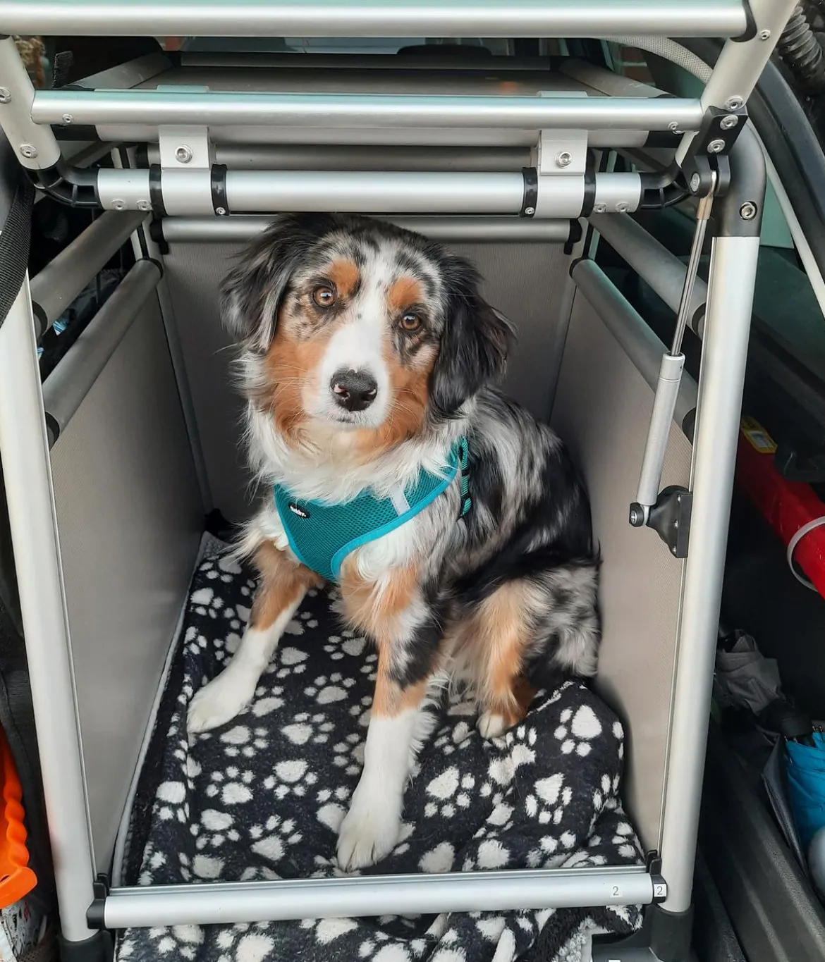 Nobby Hundetransportbox Round Corner