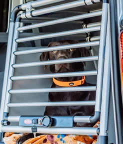 Nobby Hundetransportbox Round Corner