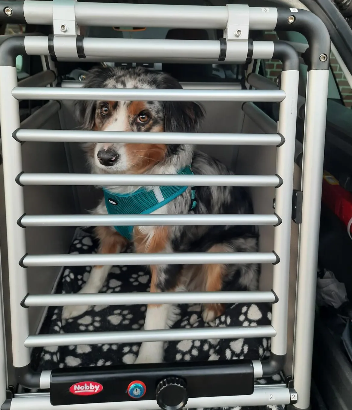 Nobby Hundetransportbox Round Corner
