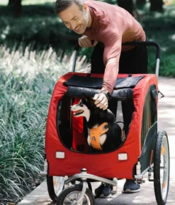 Nobby Jogger-Umbausatz für Fahrradanhänger L