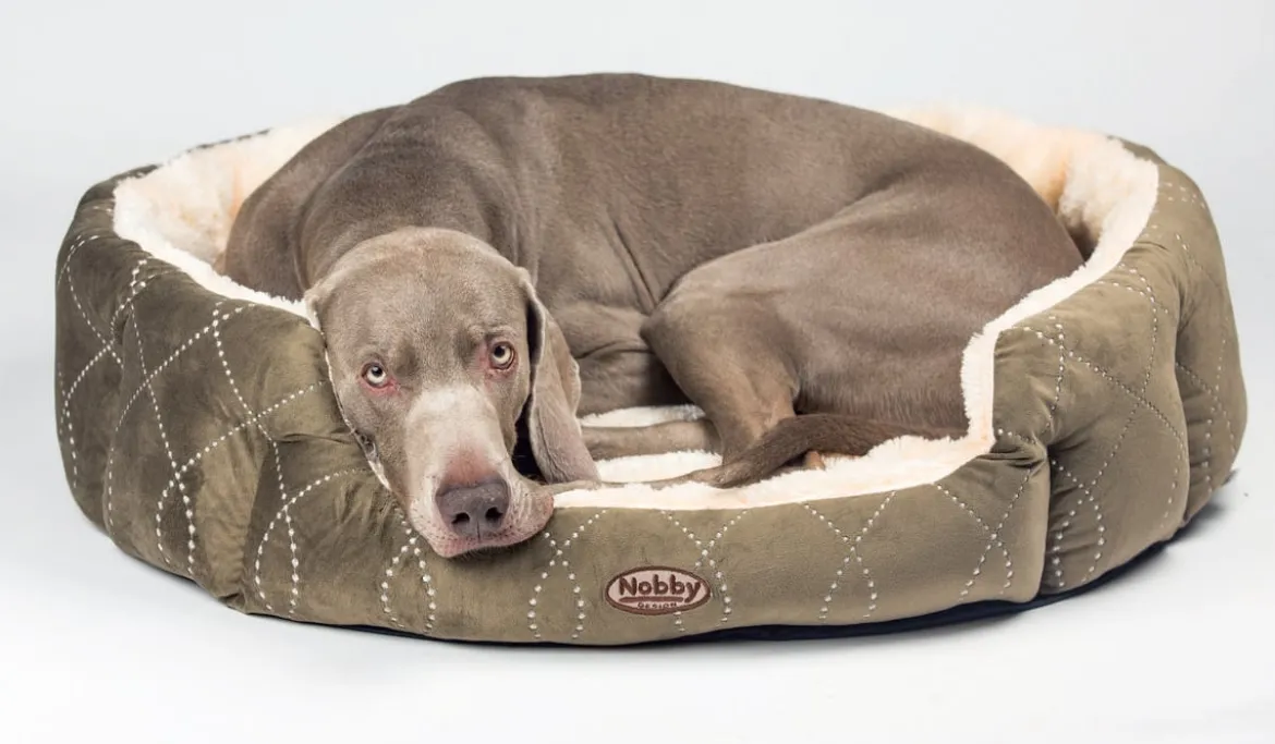 Nobby Komfortbett Ceno, oval
