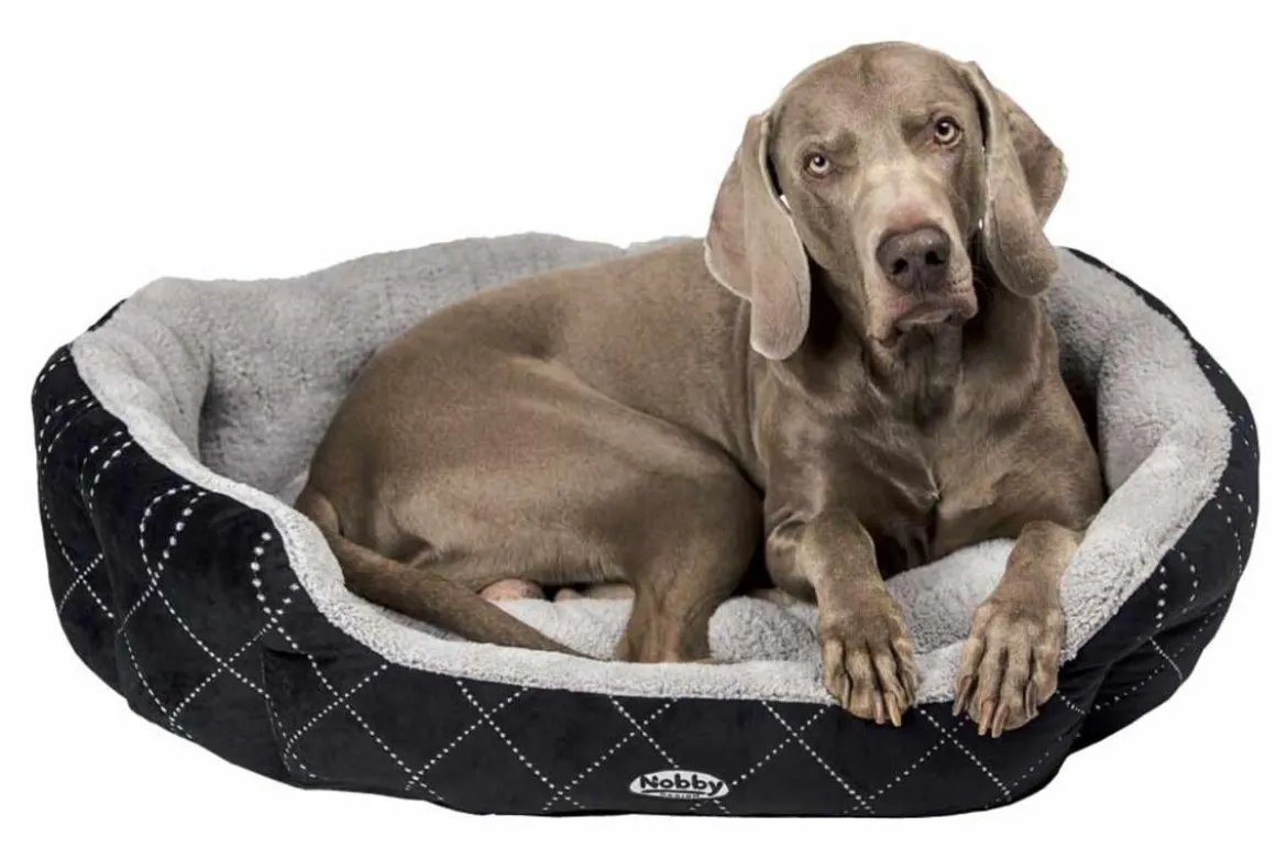 Nobby Komfortbett Ceno, oval