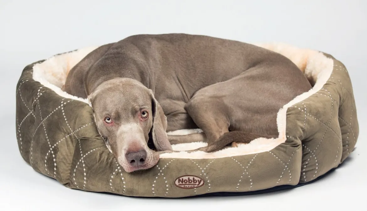 Nobby Komfortbett Ceno, oval