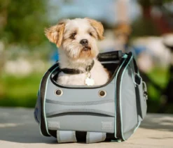 Nobby Multifunktions-Rucksack Nomad, ca. B26/H27/T45 cm