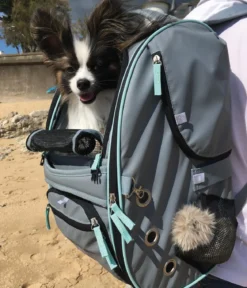 Nobby Multifunktions-Rucksack Nomad, ca. B26/H27/T45 cm