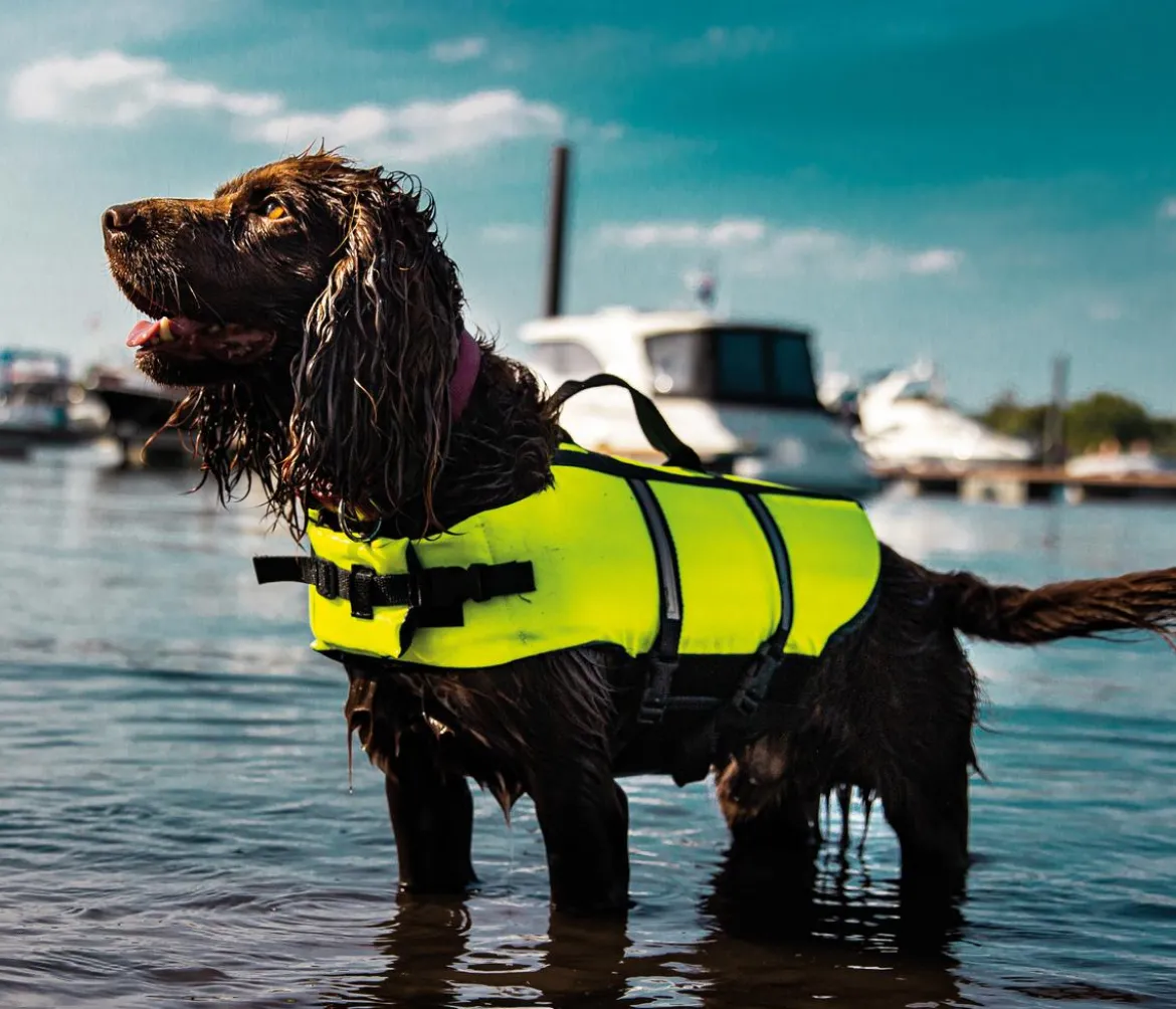 Nobby Schwimmhilfe für Hunde, neongelb