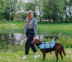 Nobby Schwimmhilfe für Hunde Sharki, hellblau