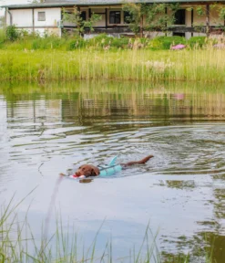 Nobby Schwimmhilfe für Hunde Sharki, hellblau