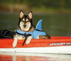 Nobby Schwimmhilfe für Hunde Sharki, hellblau