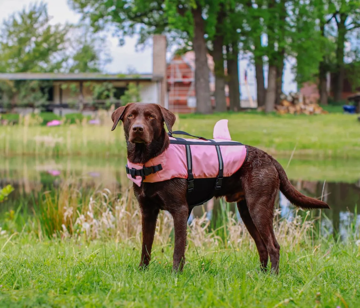 Nobby Schwimmhilfe für Hunde Sharki, pink
