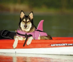 Nobby Schwimmhilfe für Hunde Sharki, pink