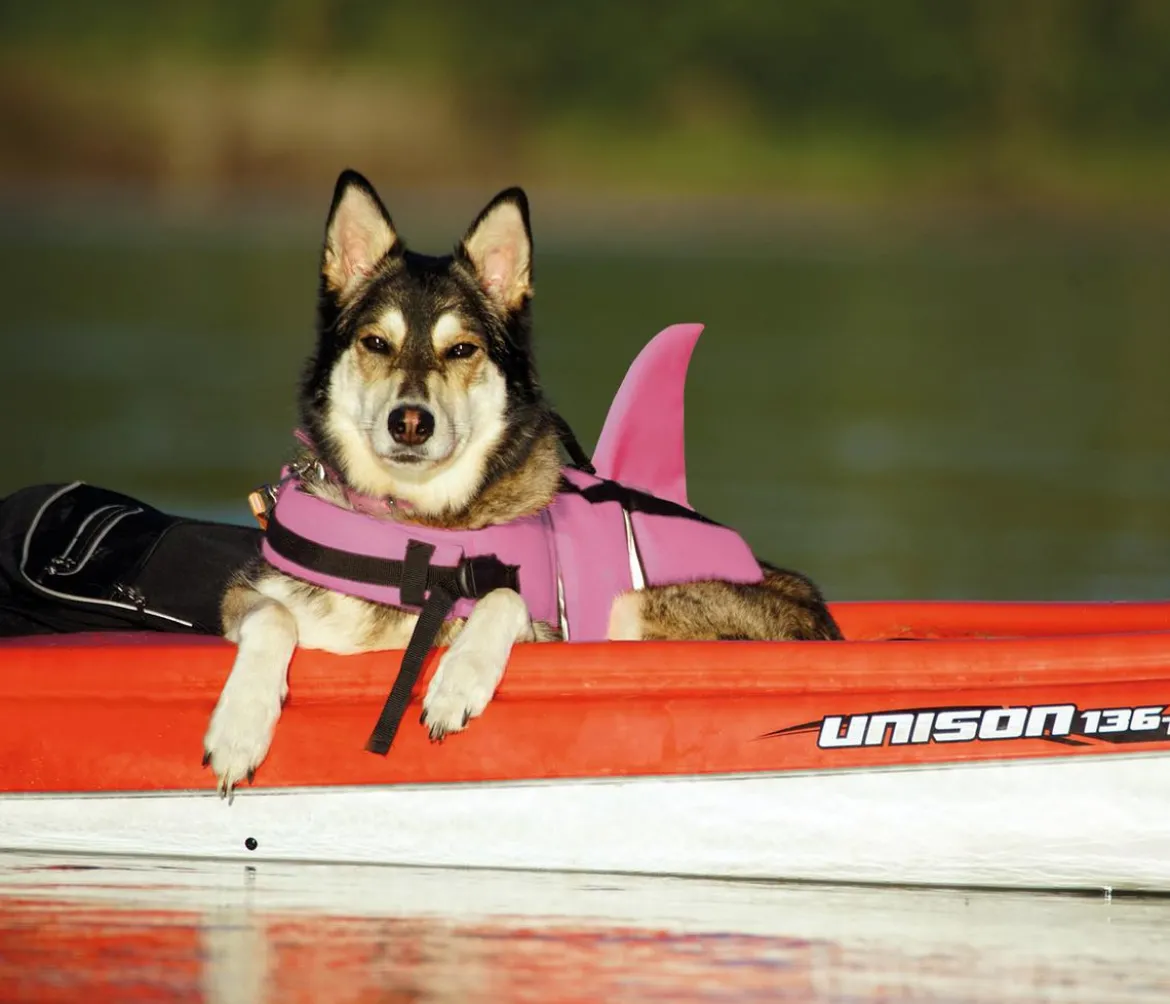 Nobby Schwimmhilfe für Hunde Sharki, pink