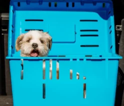 Nobby Transportbox Pet Daddy II, ca. B37/H33/T55 cm