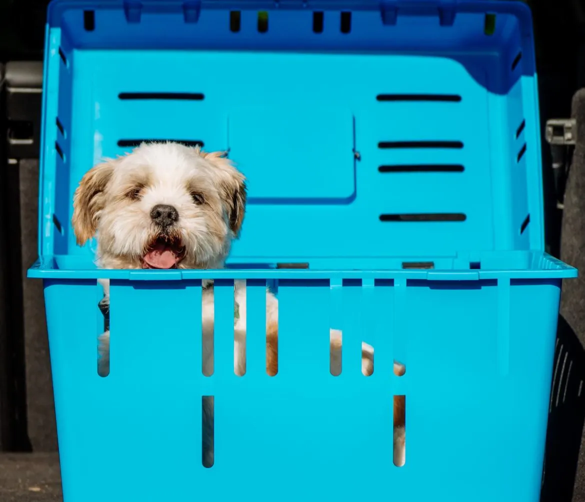 Nobby Transportbox Pet Daddy II, ca. B37/H33/T55 cm