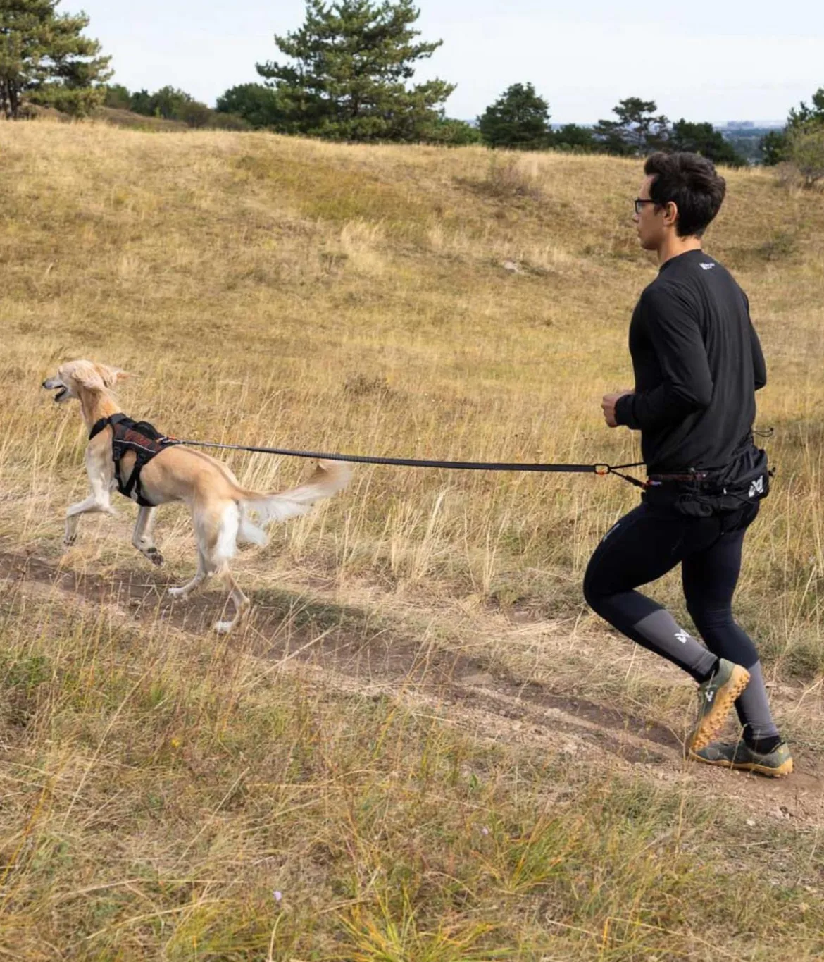 Non-stop dogwear Bauch-Laufgurt Trail light belt, schwarz