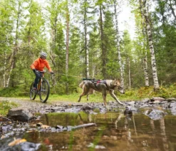 Non-stop dogwear Bikeantenne für Hundeleinen, ca. L49 cm