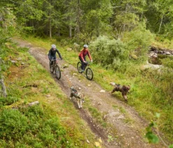 Non-stop dogwear Bikeantenne für Hundeleinen, ca. L49 cm