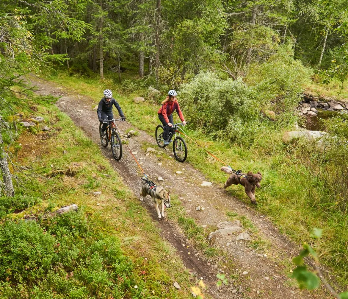 Non-stop dogwear Bikeantenne für Hundeleinen, ca. L49 cm