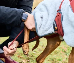 Non-stop dogwear Hunde-Fleecejacke Trekking fleece dog jacket, grau/dunkelrot/türkis