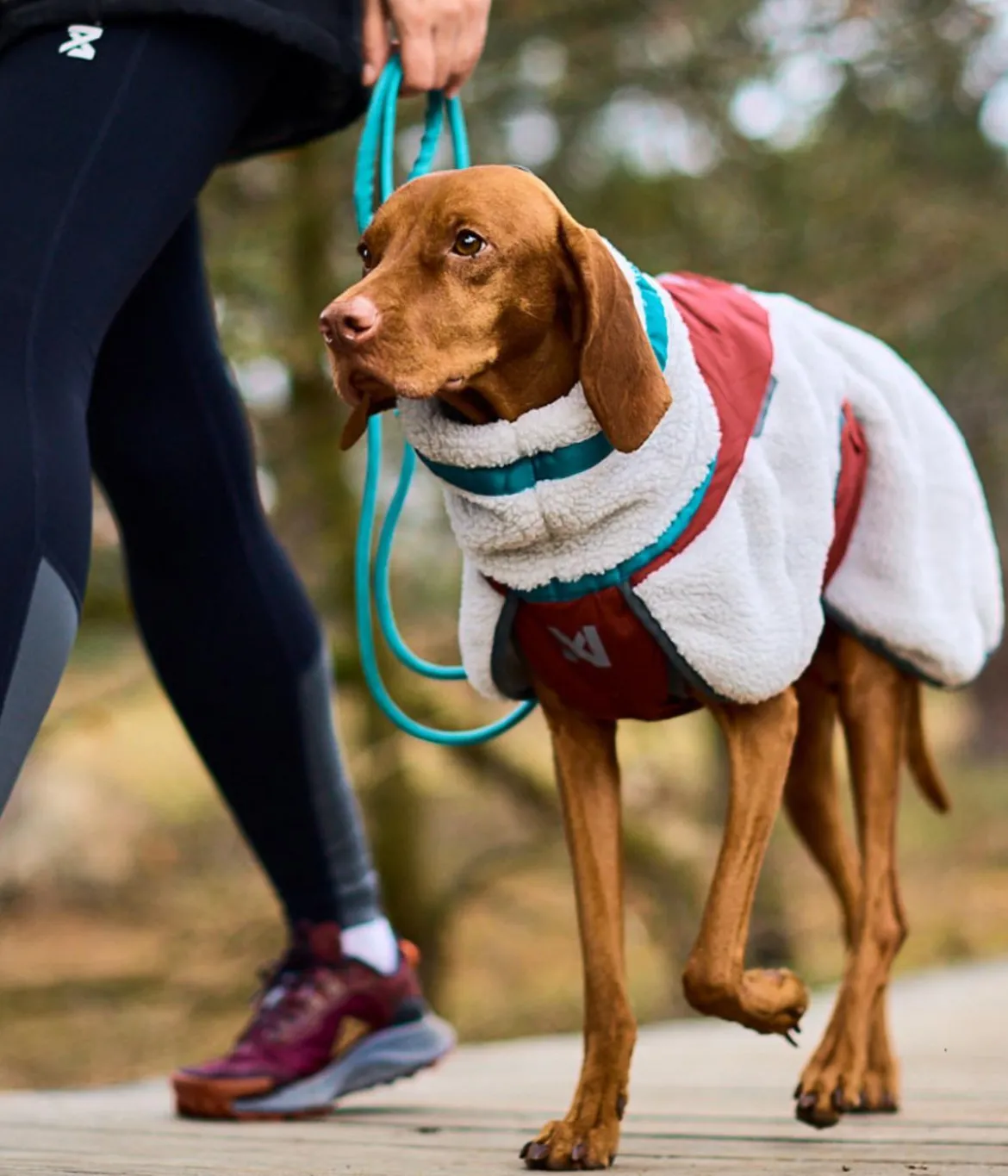 Non-stop dogwear Hunde-Fleecejacke Trekking fleece dog jacket, grau/dunkelrot/türkis