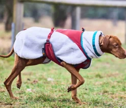 Non-stop dogwear Hunde-Fleecejacke Trekking fleece dog jacket, grau/dunkelrot/türkis
