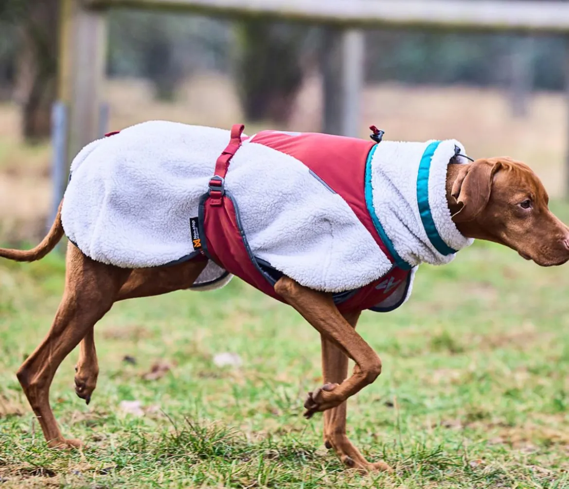 Non-stop dogwear Hunde-Fleecejacke Trekking fleece dog jacket, grau/dunkelrot/türkis