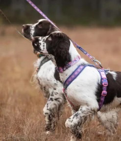 Non-stop dogwear Hundegeschirr Line Harness 5.0 Rachel Pohl Signature Edition, purple/pink