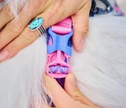 Non-stop dogwear Hundegeschirr Line Harness 5.0 Rachel Pohl Signature Edition, purple/pink