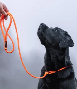 Non-stop dogwear Hundeleine Retriever leash, orange, L1,6 m