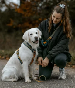 Non-stop dogwear Hundeleine Trail Quest Rachel Pohl Signature Edition, teal/oak, 2 m