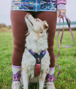 Non-stop dogwear Hundeleine Trail Quest Rachel Pohl Signature Edition, purple/pink, 2 m