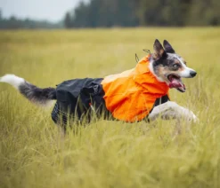 Non-stop dogwear Hunde-Regenmantel Fjord raincoat, schwarz/orange