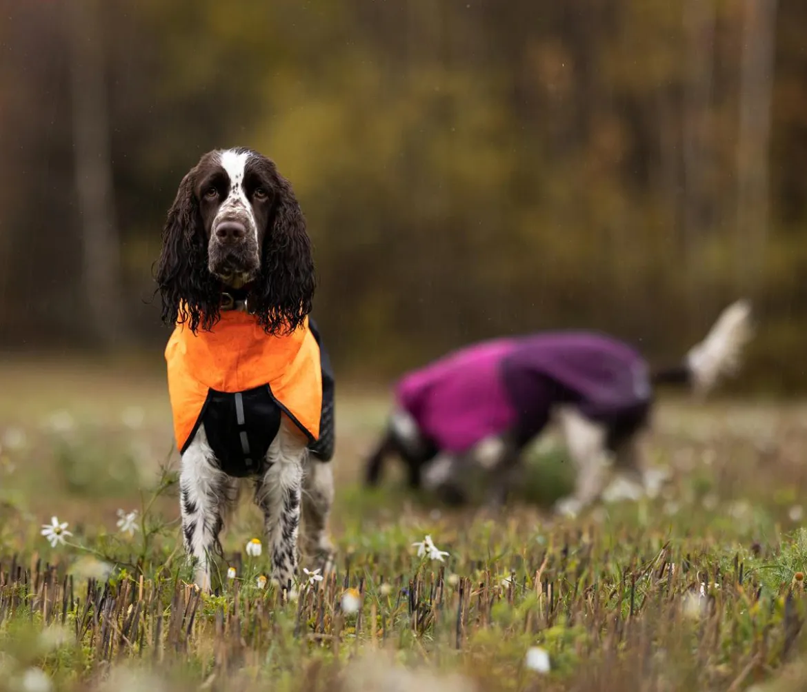 Non-stop dogwear Hunde-Regenmantel Fjord raincoat, purple
