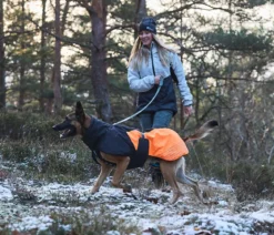 Non-stop dogwear Hunde-Wintermantel Glacier jacket 2.0, schwarz/orange