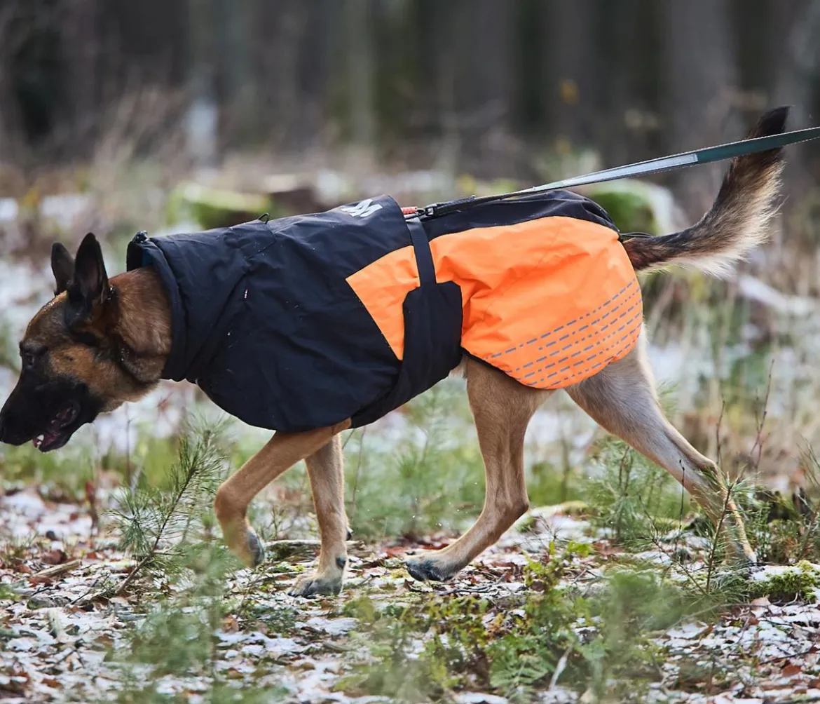 Non-stop dogwear Hunde-Wintermantel Glacier jacket 2.0, schwarz/orange