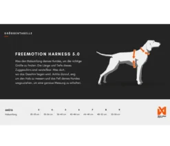 Non-stop dogwear Hunde-Zuggeschirr Freemotion harness 5.0, schwarz/orange