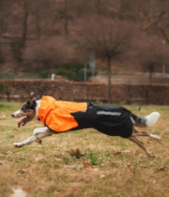 Non-stop dogwear Regenmantel Fjord raincoat 2.0, schwarz/orange