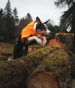 Non-stop dogwear Regenmantel Fjord raincoat 2.0, schwarz/orange