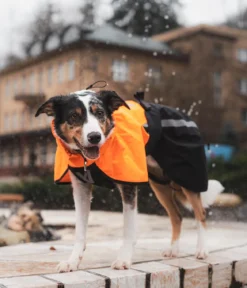 Non-stop dogwear Regenmantel Fjord raincoat 2.0, schwarz/orange