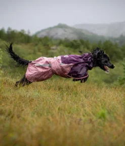 Non-stop dogwear Regenmantel Fjord raincoat 2.0, violett