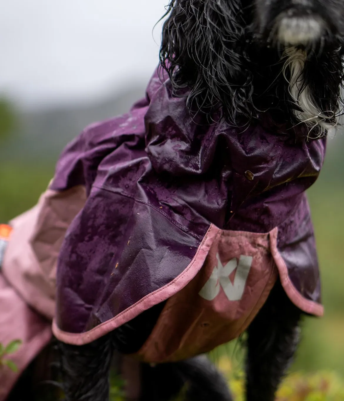 Non-stop dogwear Regenmantel Fjord raincoat 2.0, violett